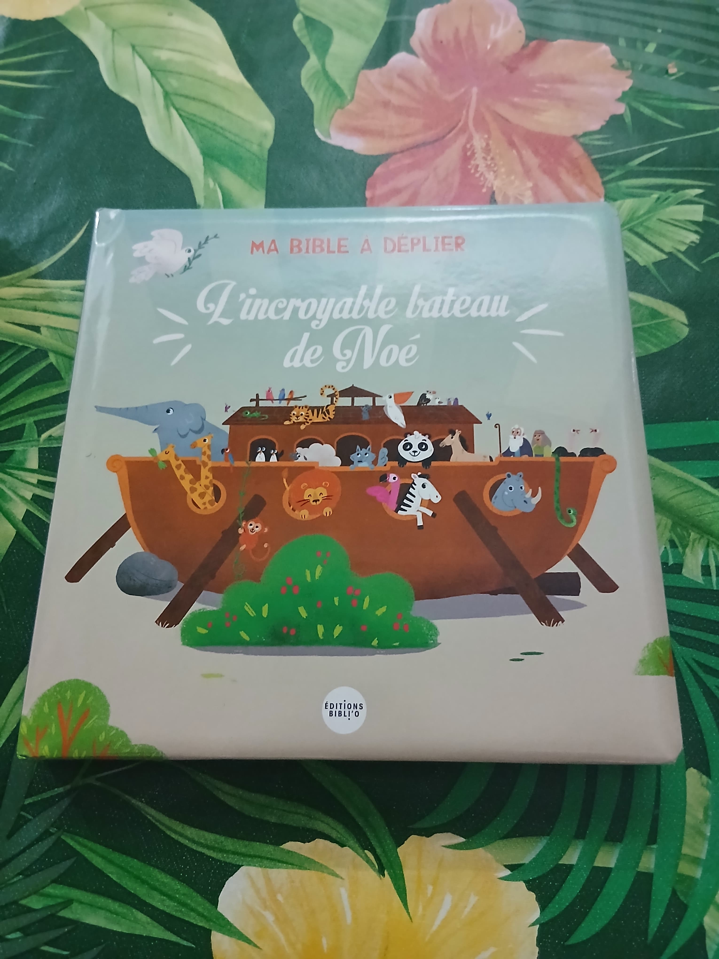 Couverture du livre "L'incroyable bateau de Noé " par Carolina Coroa