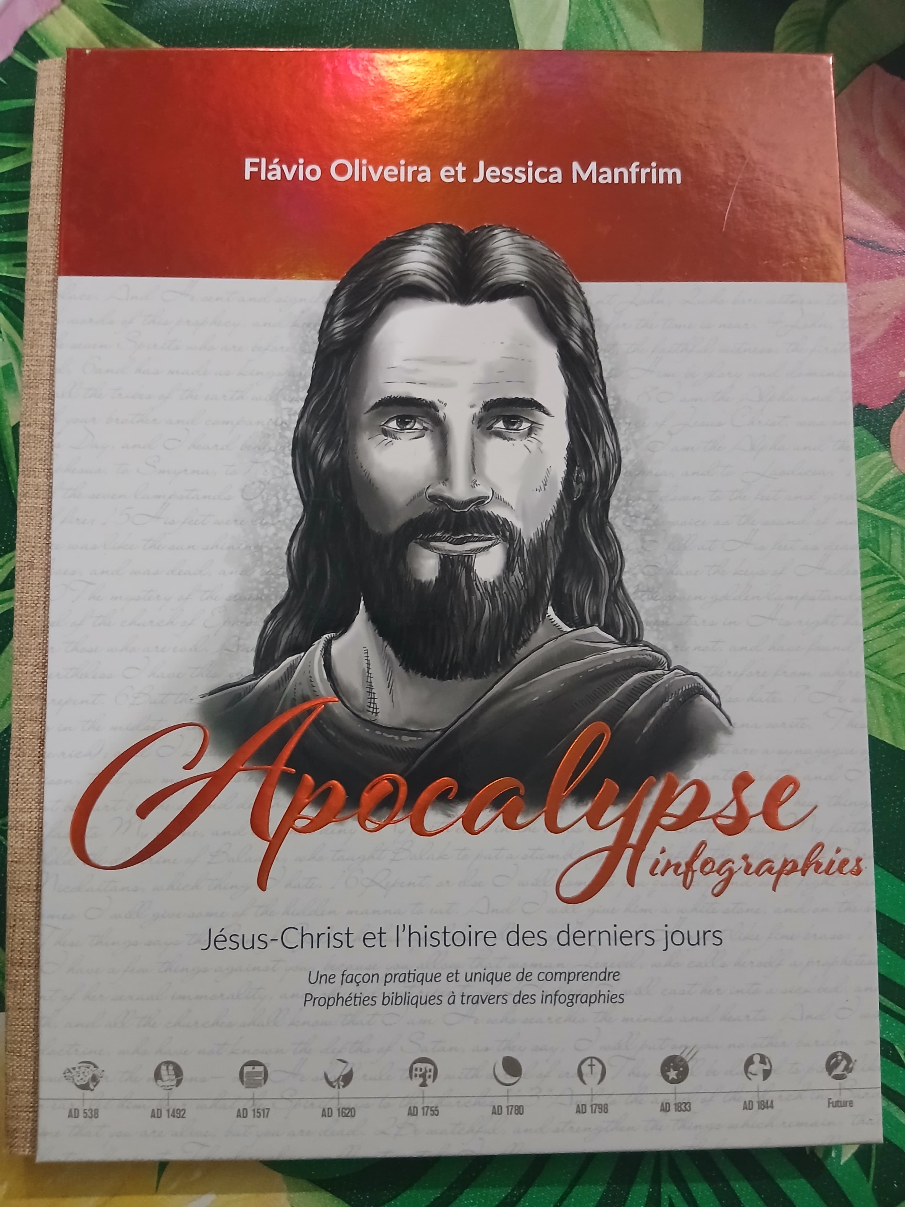 Couverture du livre "Apocalypse infographie " par Flavio Olivieira et Jesica Manfrim