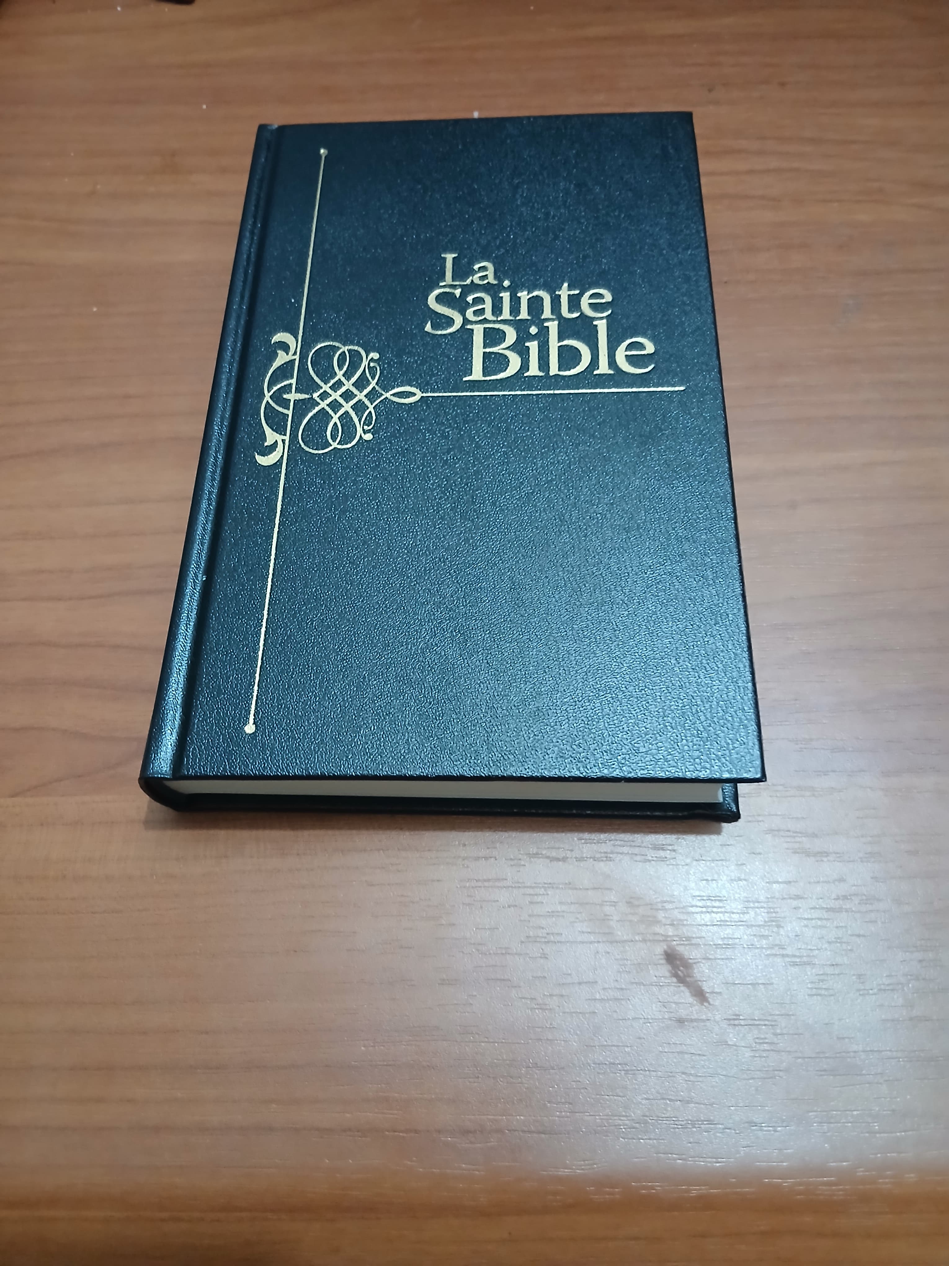 Couverture du livre "La Sainte Bible " par Safeliz