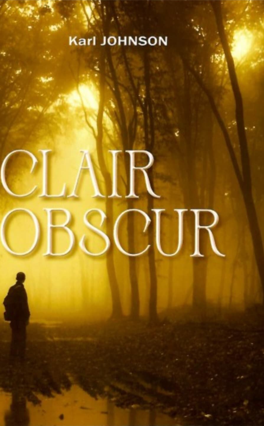Couverture du livre "Claire Obscur" par Karl johnson